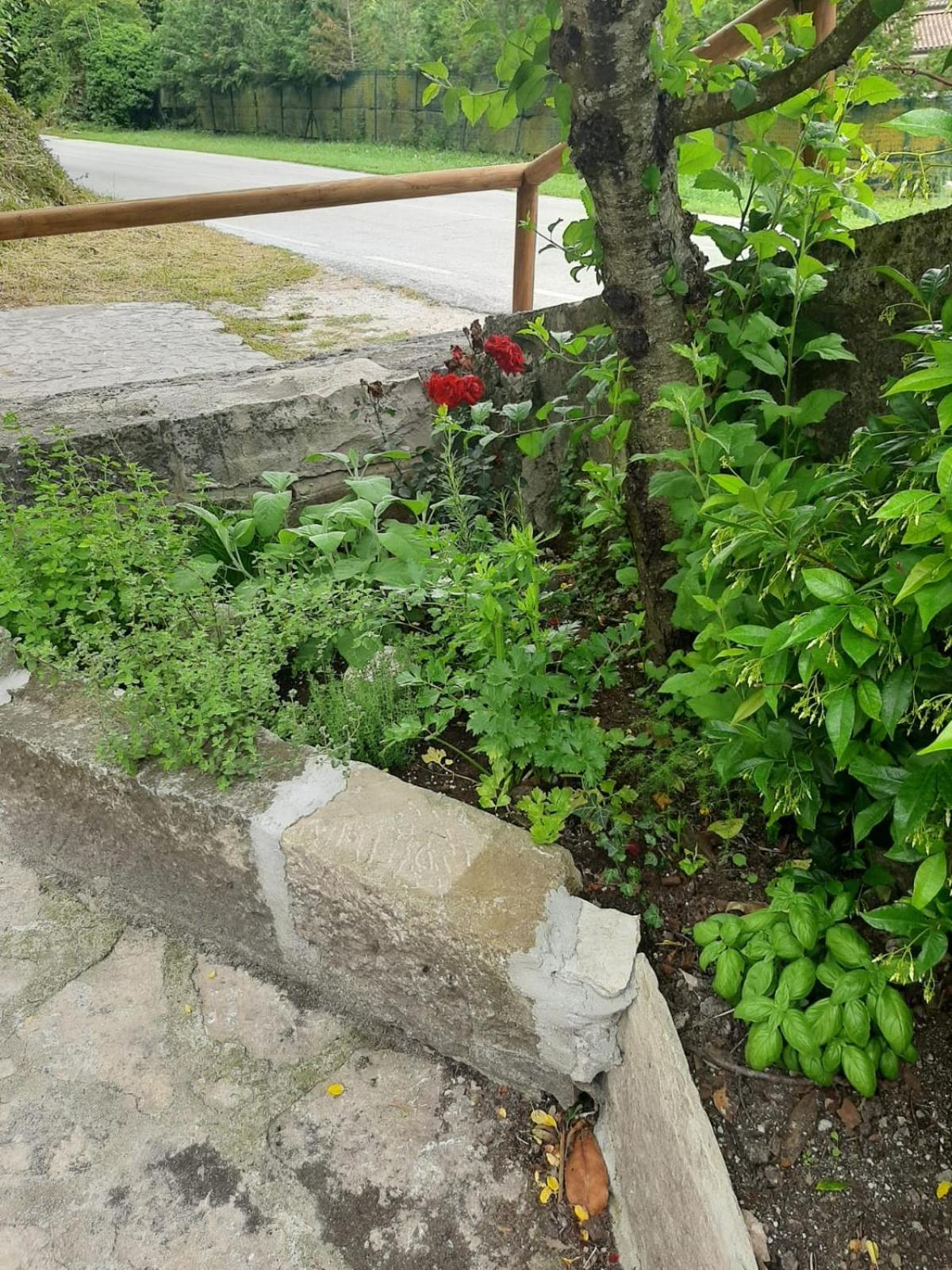 Apartamento Il Caminetto Carpinone Exterior foto